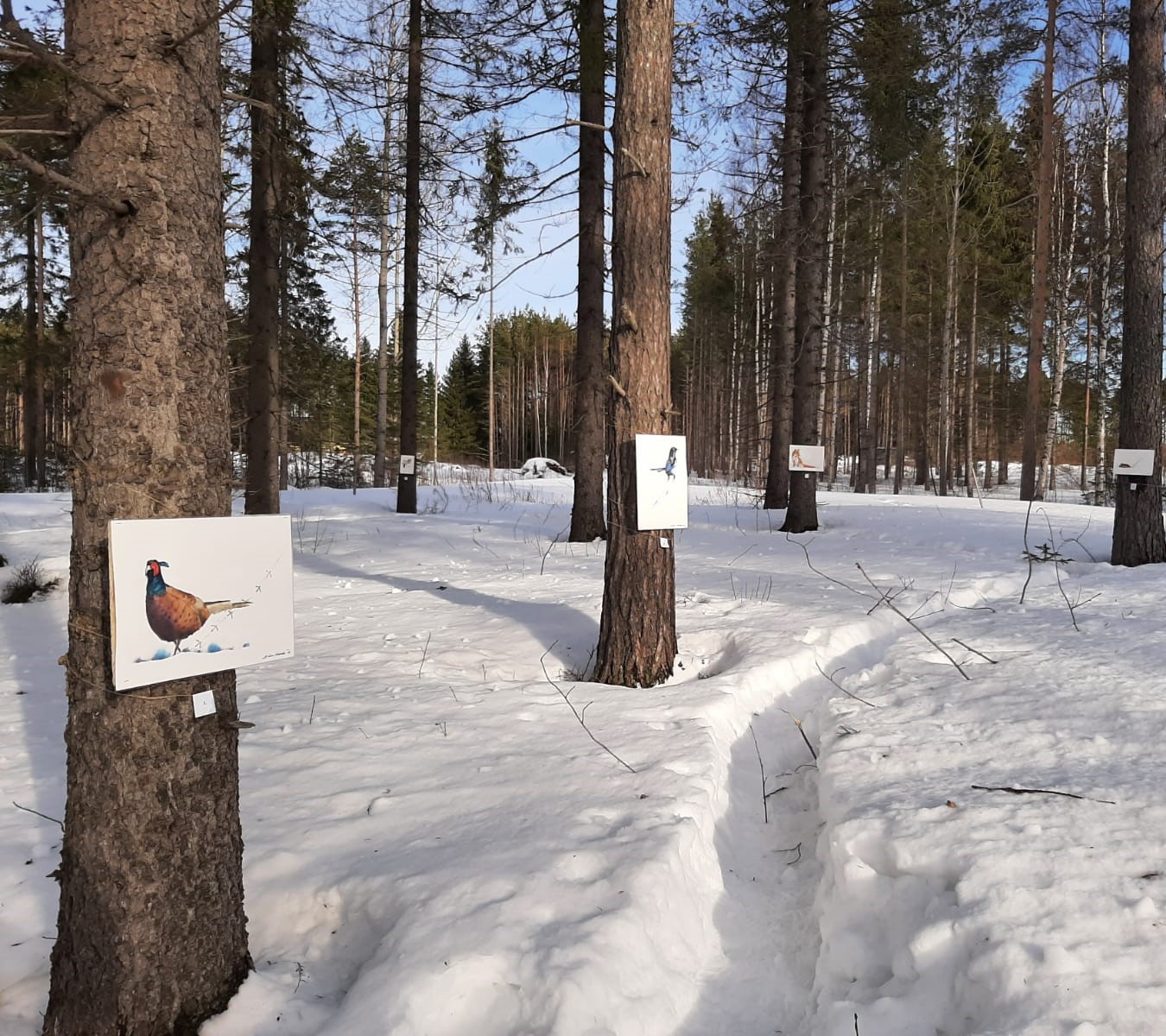 Ympäristötaidenäyttely Jäljillä